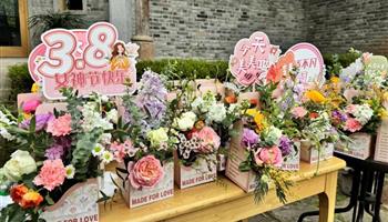 BBIN����ӯ����(�й�)���޹�˾����